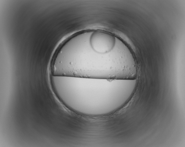 X0000116381032200912020942