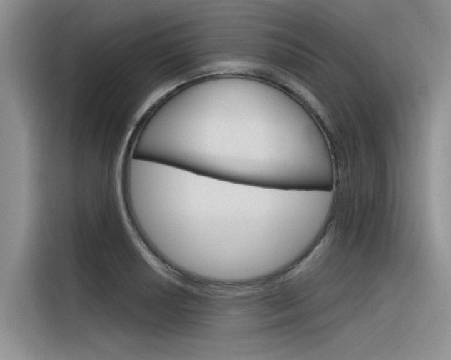 X0000116381034200912020942