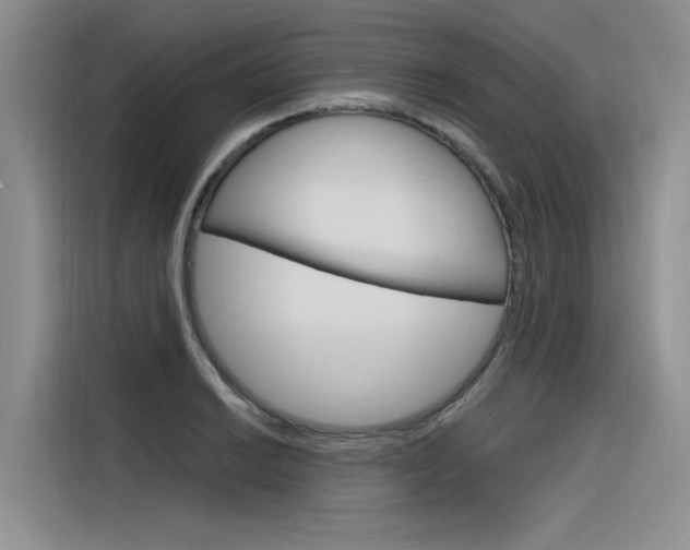 X0000116381038200912020942