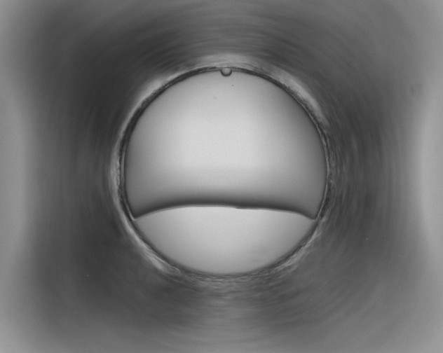 X0000116381040200912020942