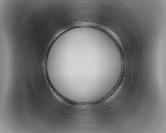 X0000116381041200912020942