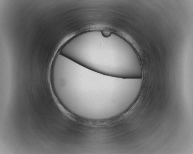 X0000116381042200912020942
