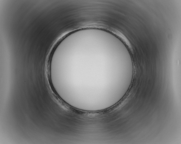 X0000116381043200912020942
