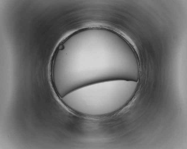X0000116381045200912020942