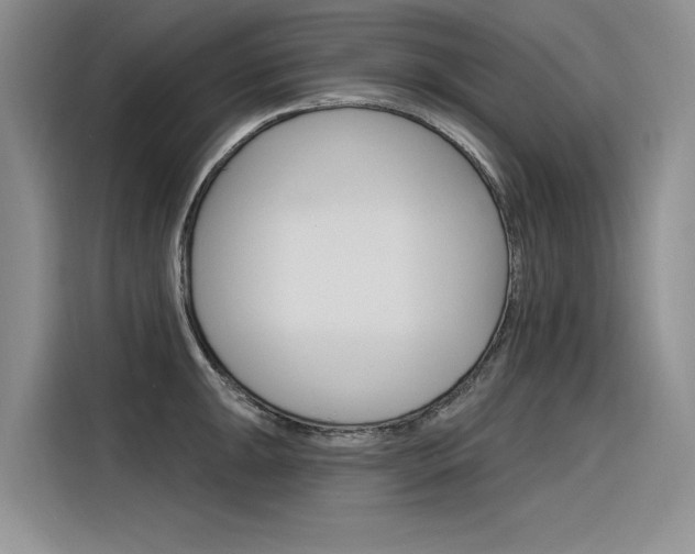 X0000116381047200912020942