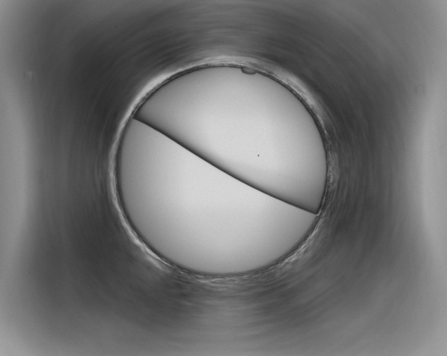 X0000116381048200912020942