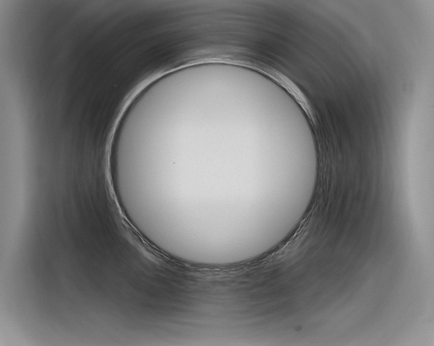 X0000116381051200912020942