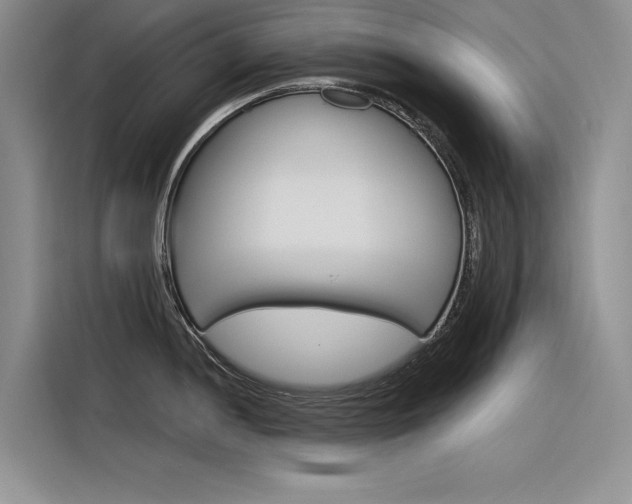 X0000116381052200912020942