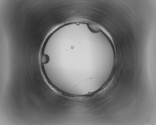 X0000116381053200912020942