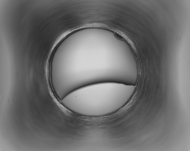 X0000116381054200912020942
