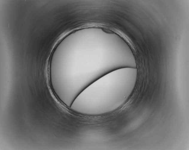 X0000116381055200912020942