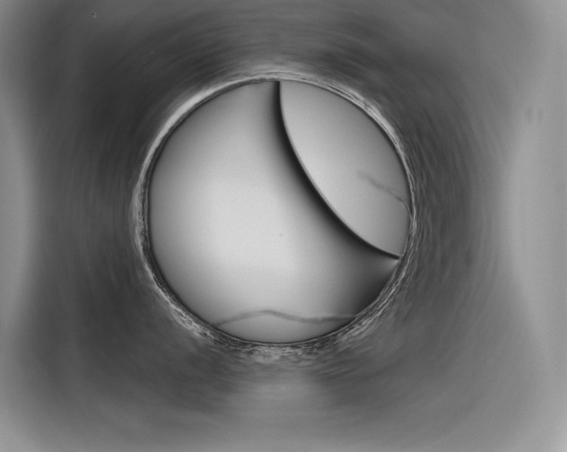 X0000116381056200912020942