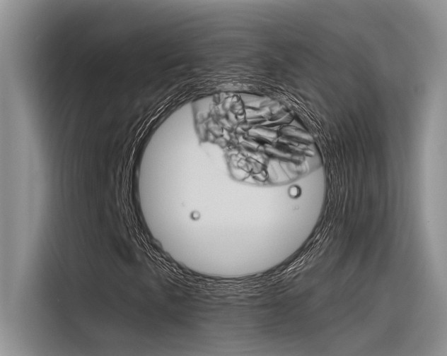 X0000116381057200912020941