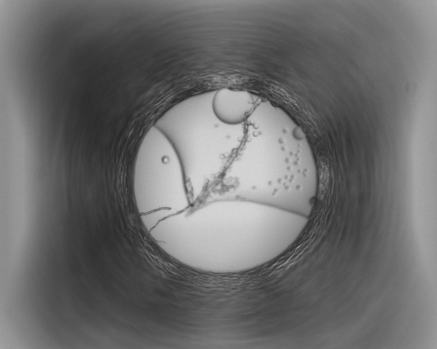X0000116381058200912020941