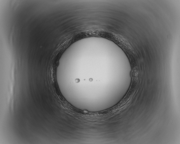 X0000116381060200912020941