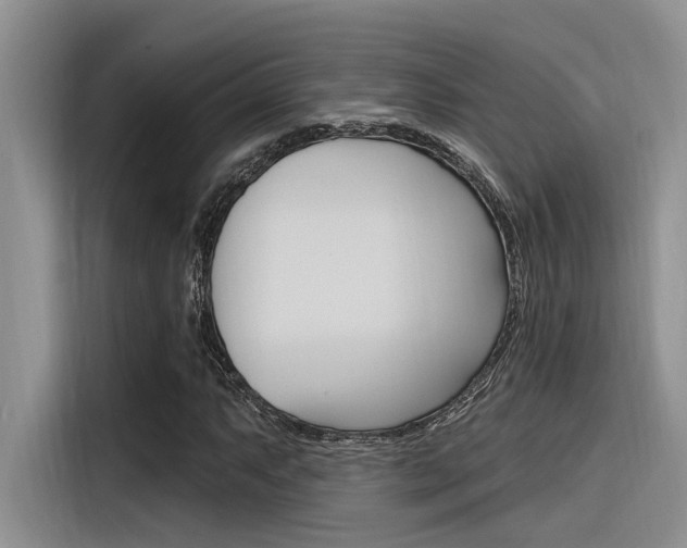 X0000116381063200912020941