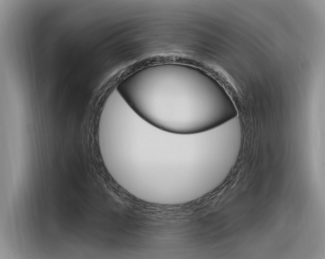 X0000116381064200912020941