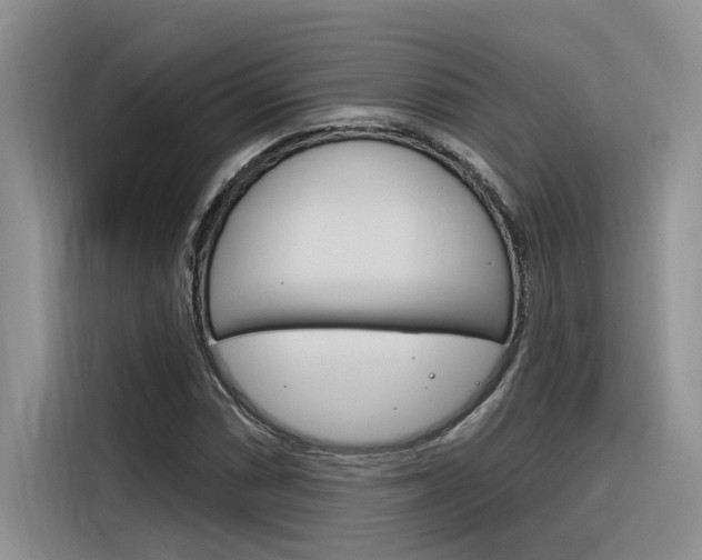 X0000116381066200912020941