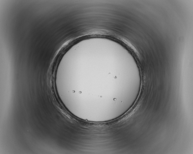 X0000116381067200912020941
