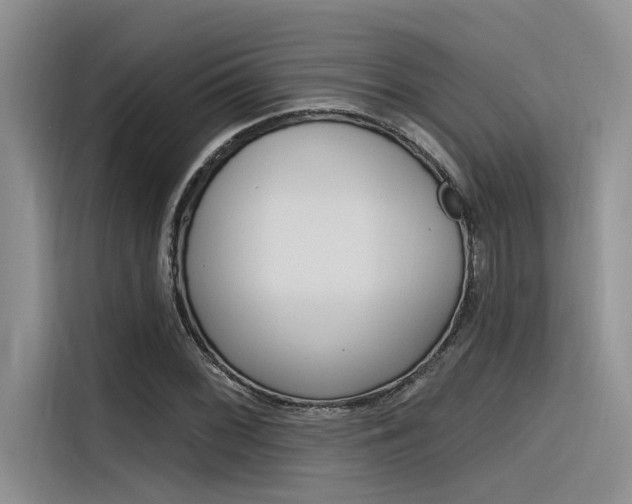X0000116381068200912020941