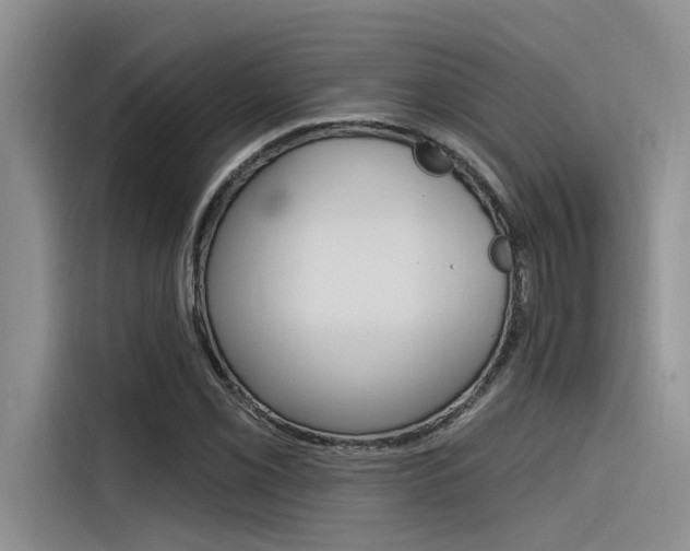 X0000116381069200912020941