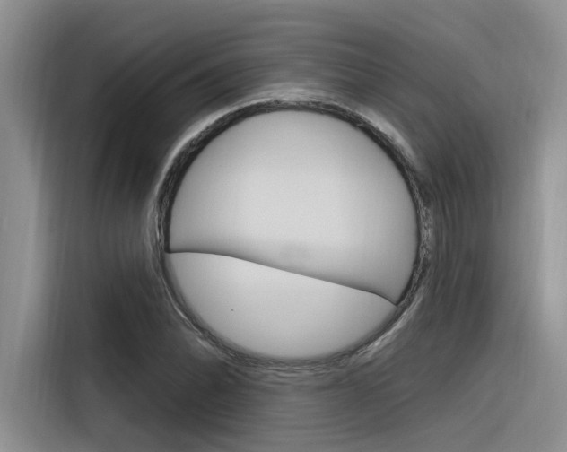 X0000116381070200912020941