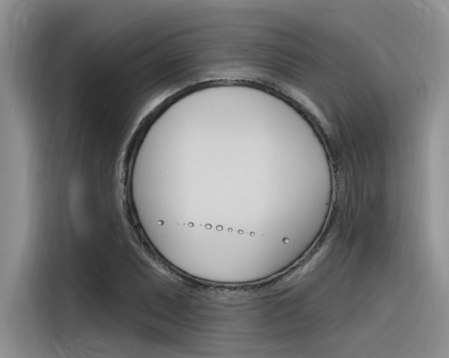 X0000116381071200912020941