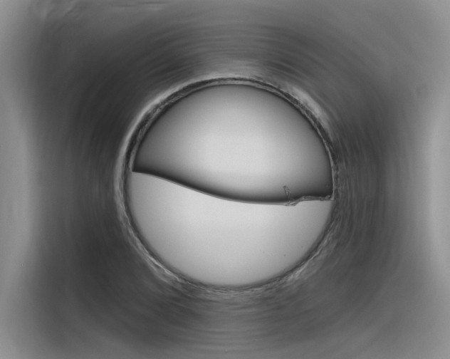 X0000116381072200912020941
