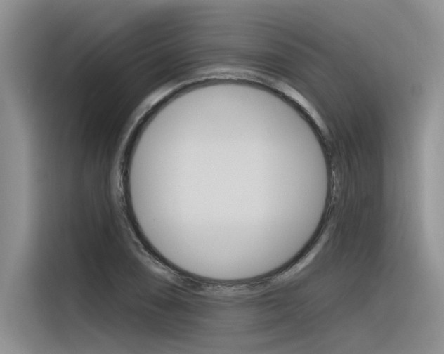 X0000116381074200912020941