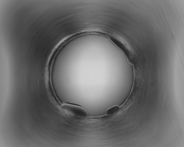 X0000116381076200912020941