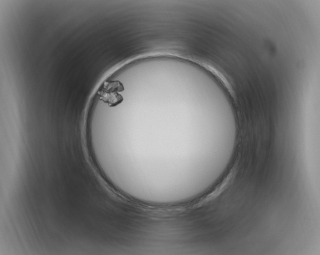 X0000116381077200912020941