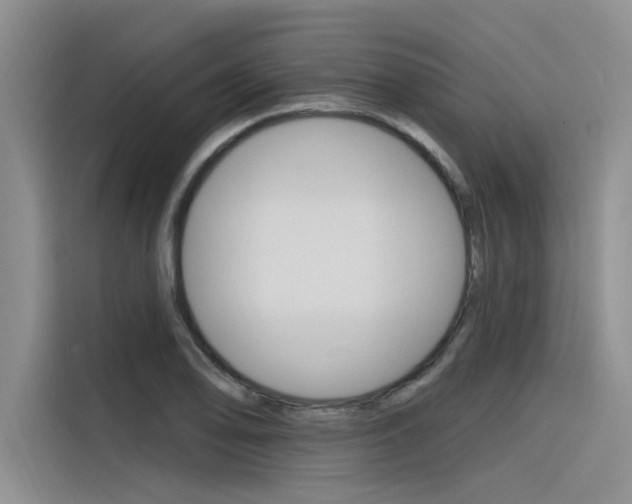 X0000116381078200912020941