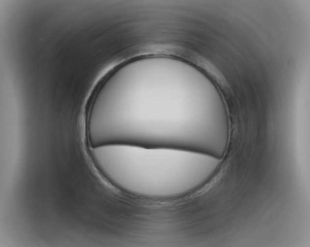 X0000116381079200912020941