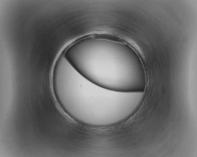 X0000116381080200912020941