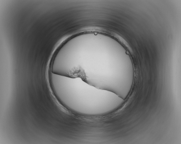 X0000116381082200912020941