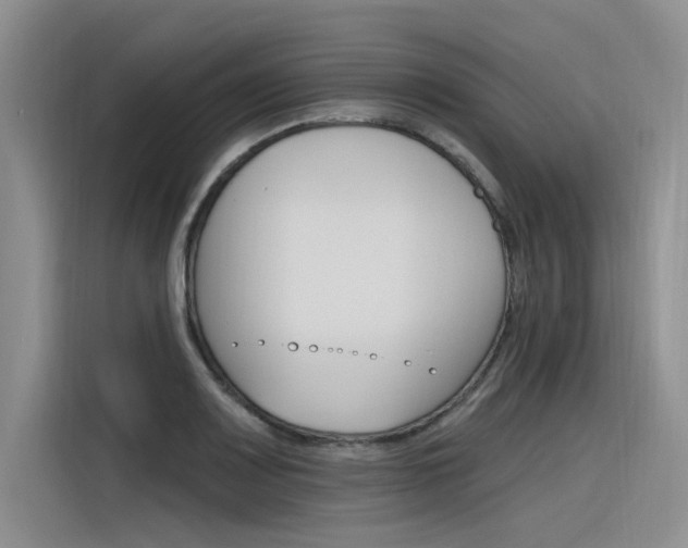 X0000116381083200912020941