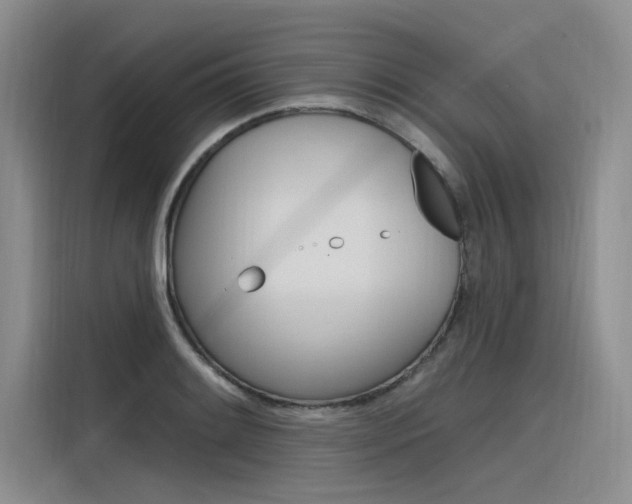 X0000116381084200912020941