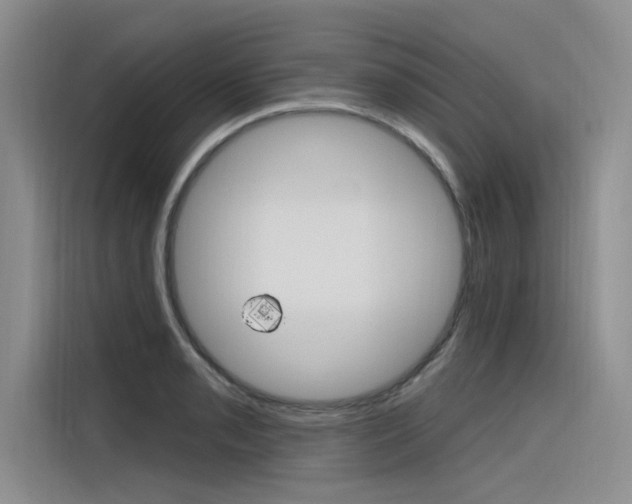 X0000116381085200912020941