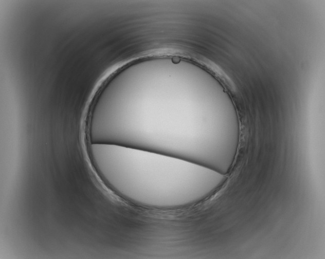 X0000116381086200912020941