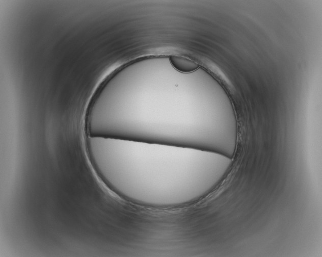 X0000116381087200912020941