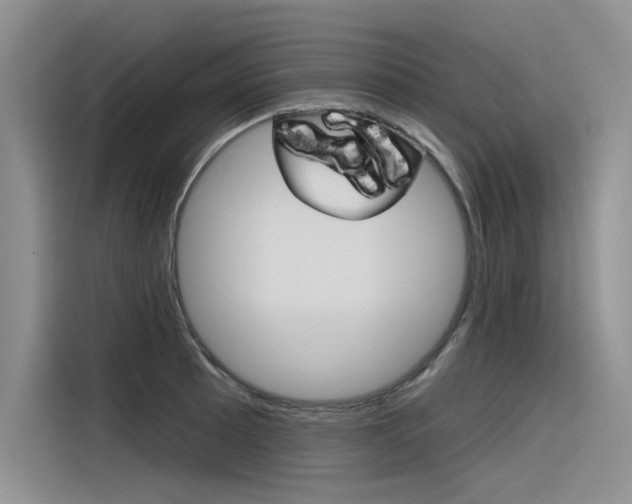 X0000116381089200912020941