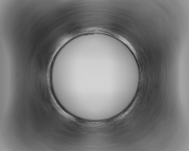 X0000116381090200912020941