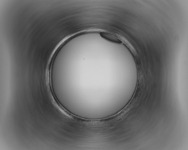 X0000116381092200912020941