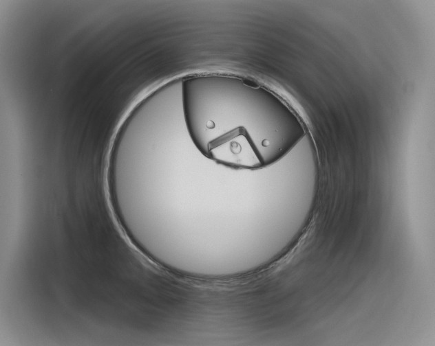 X0000116381093200912020941