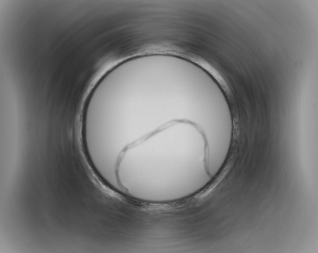 X0000116381094200912020941