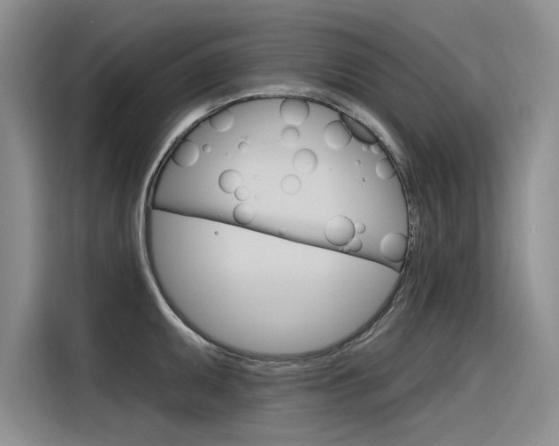 X0000116381095200912020941
