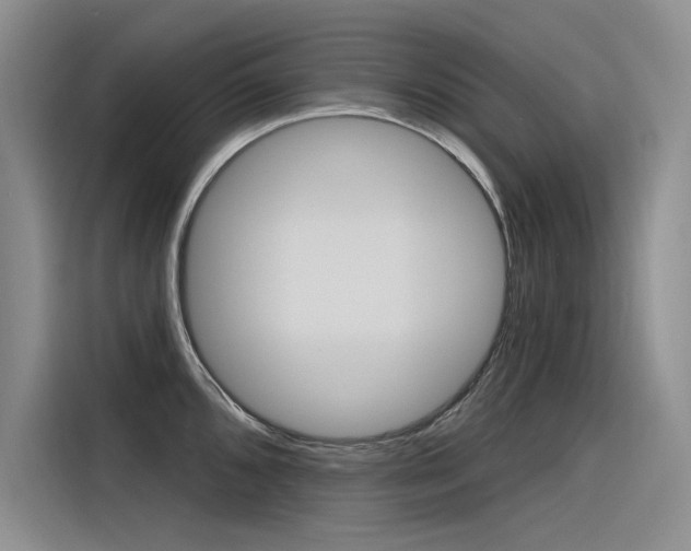 X0000116381096200912020941