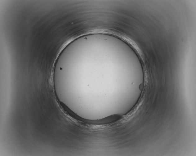 X0000116381097200912020941