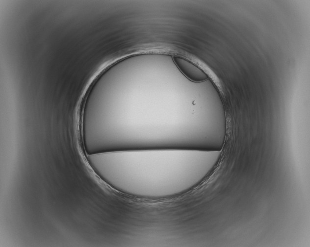 X0000116381099200912020941