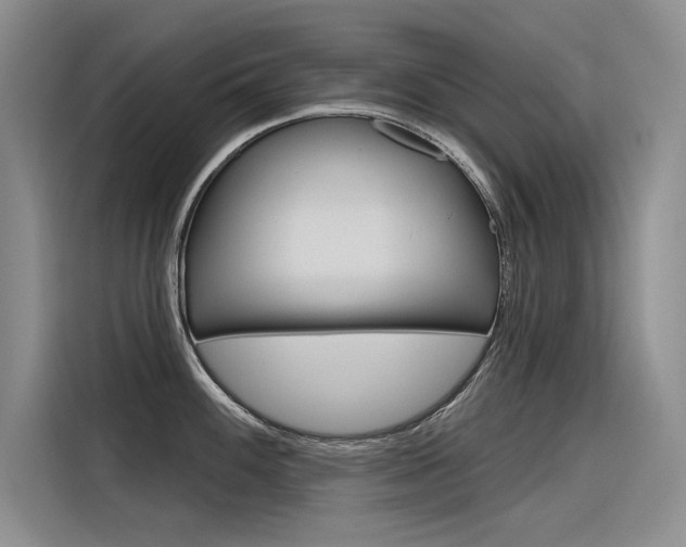 X0000116381100200912020941
